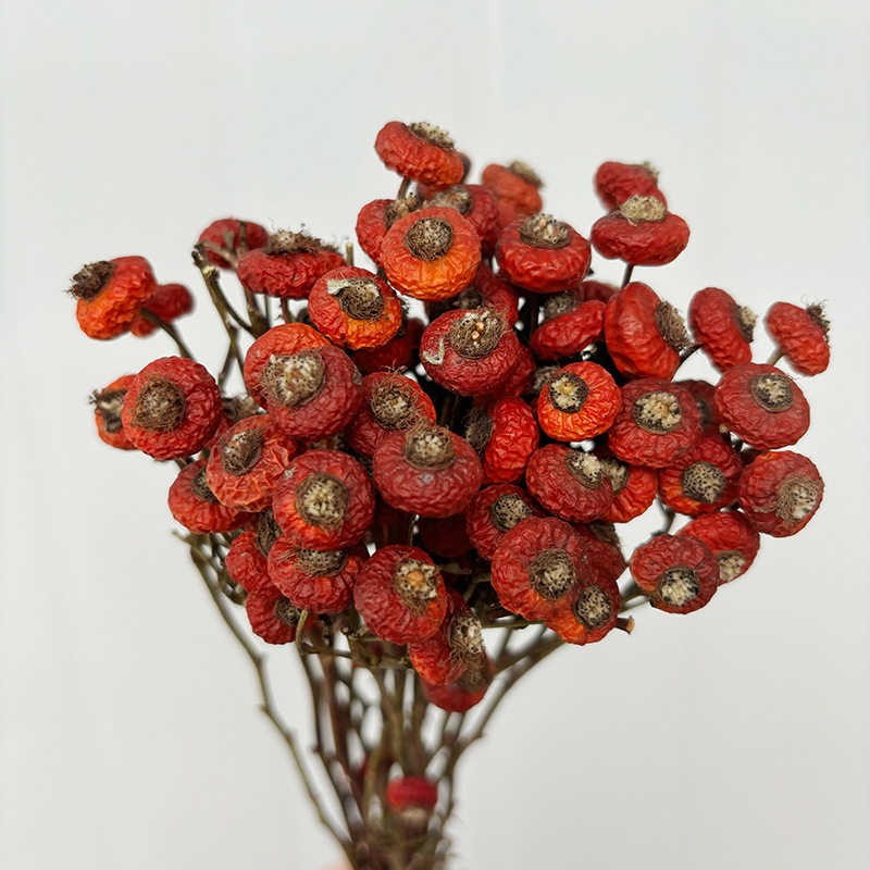 Dried Flower Bunch - 10個/束 ドライローズヒップベリーの花 天然ドライフラワー ホームリビングルームの装飾 お祝いの結婚式の装飾に