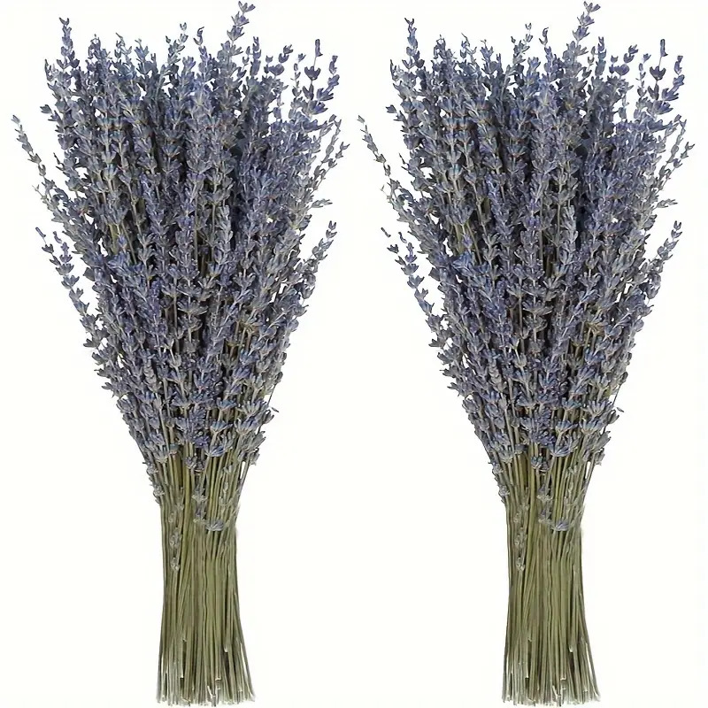 Dried Flower Bunch - 200個/束 ラベンダー ドライフラワー ホームリビングルーム装飾用 アロマセラピー材料 天然ドライフラワー