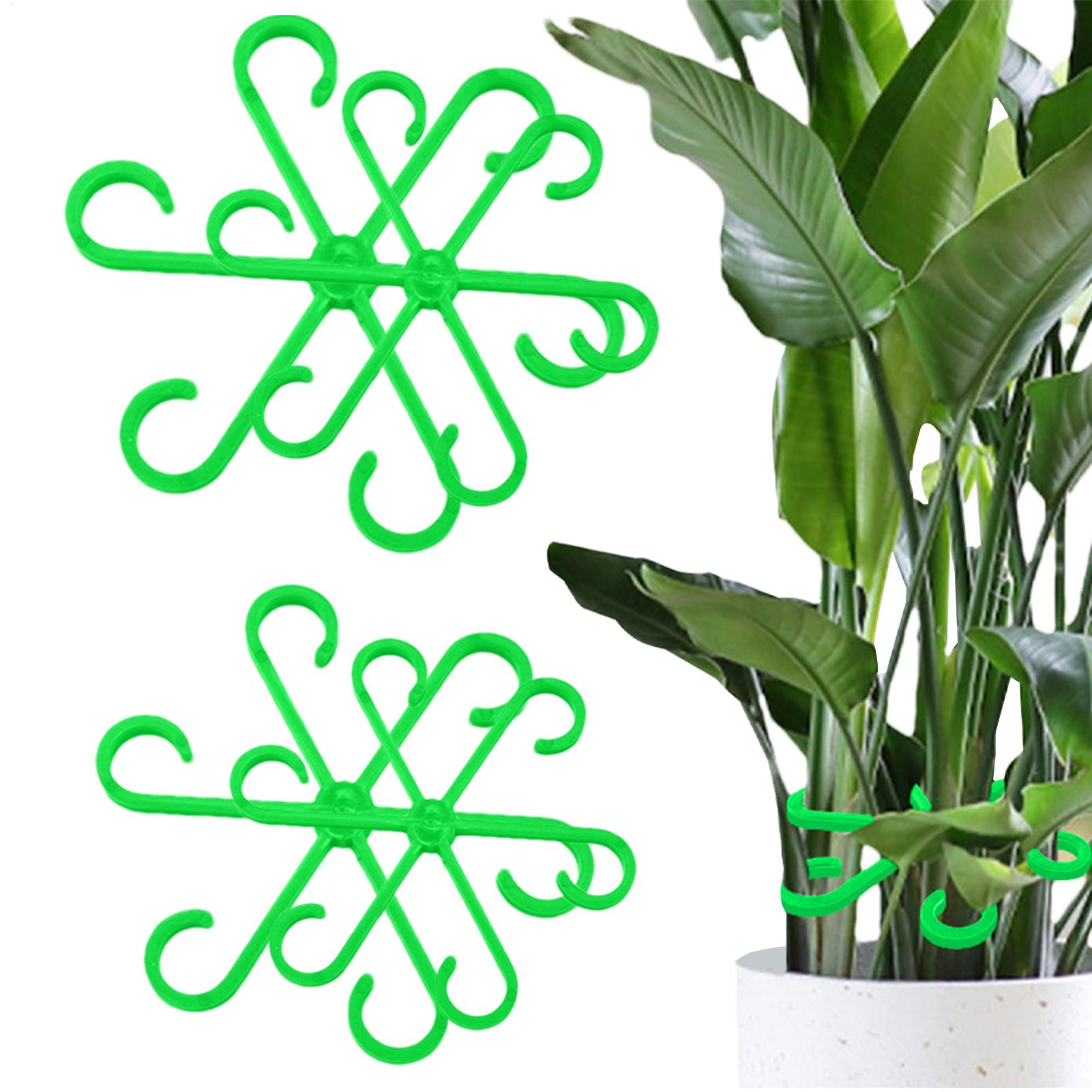 Florist Supply Bulk - 4個入り植物茎支持クリップ、花茎固定フレーム、植物の健康な成長をサポートする固定具、アロカシア茎ホルダー
