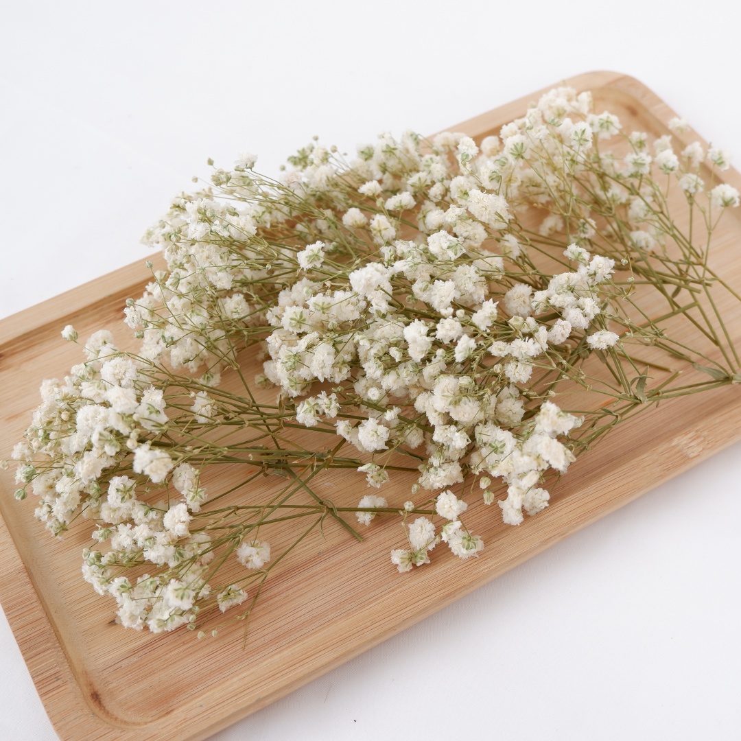 Baby Breath Dried - ドライフラワー ホワイト ミニ ドライカスミソウ ジプソフィラ 装飾花