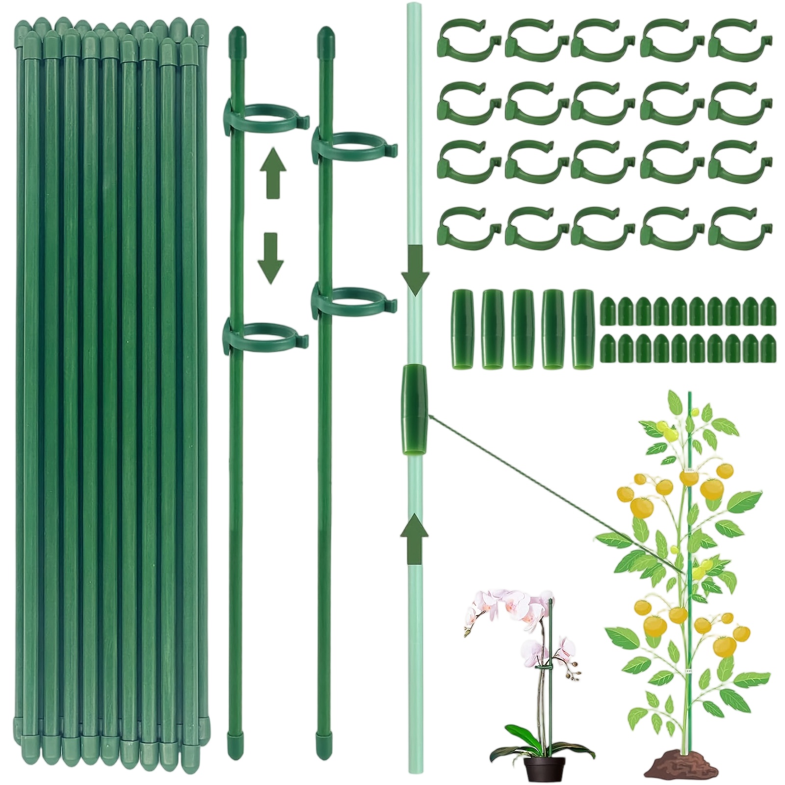 Florist Supply Bulk - 植物支柱棒 シングルステム シュラブホルダー ガーデンステークス 花野菜 蔓植物