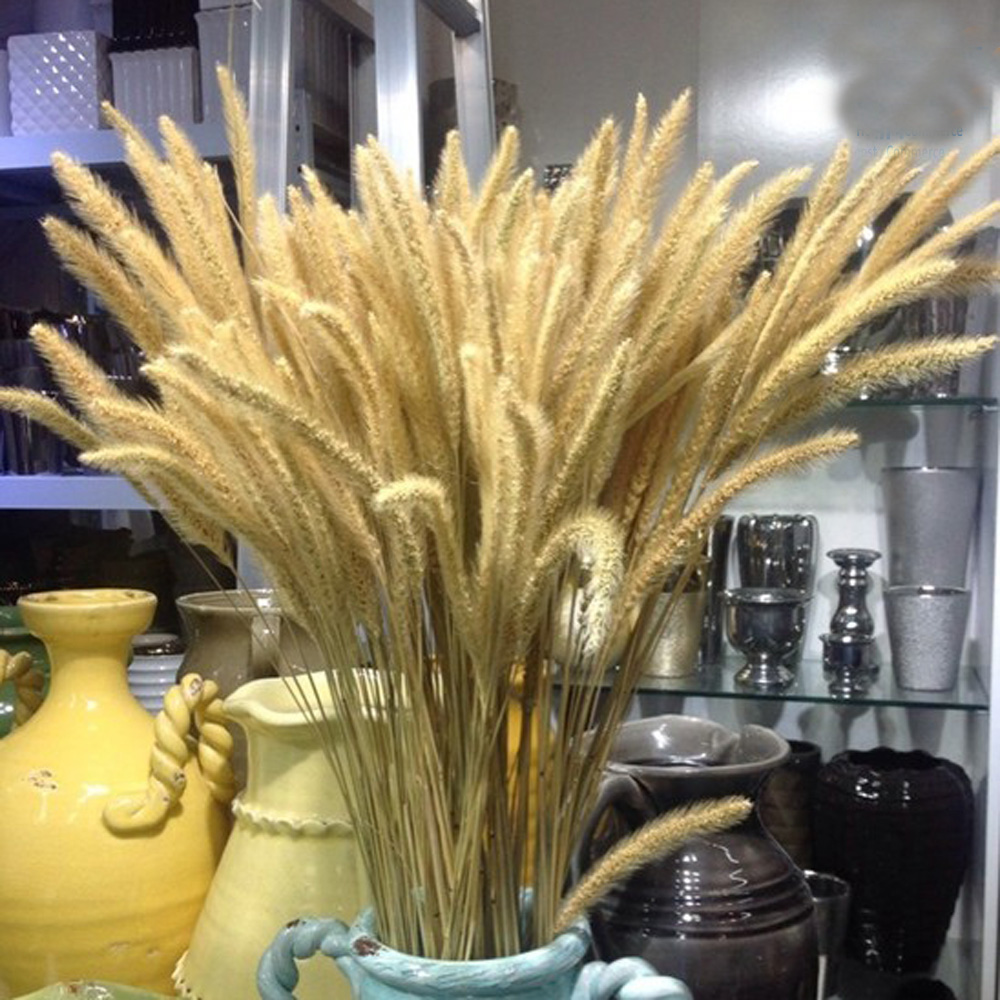 Dried Flower Bunch - 200 個の天然乾燥ラグゥラス オバタス ブーケ & ウラリア