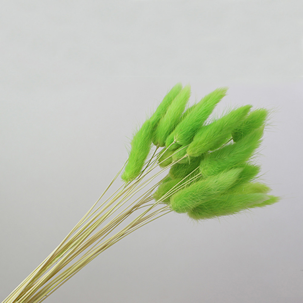 50 個のドライナチュラルフラワーブーケピンク色ラグルスオバ - Dried Flower Bunch のレビューと価格