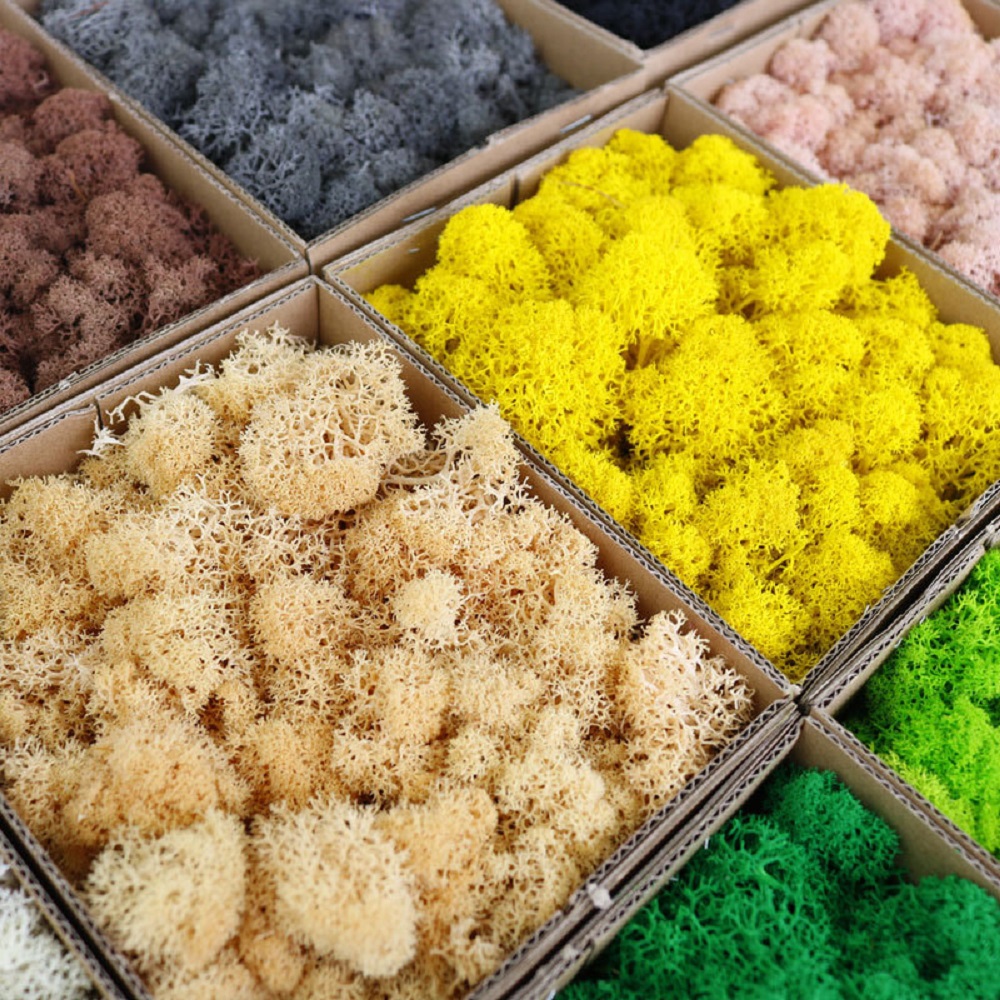 永遠の生活苔 DIY 工芸品草人工緑植物ホームルーム庭の装飾 - Preserved Moss Sheet のレビューと価格
