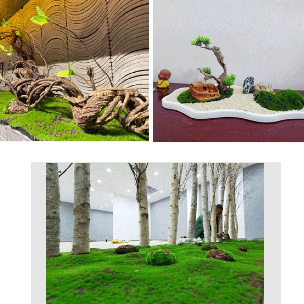 DIYフェイクモスグラスターフ耐久性のある永遠の生命シミュレ - Preserved Moss Sheet のレビューと価格