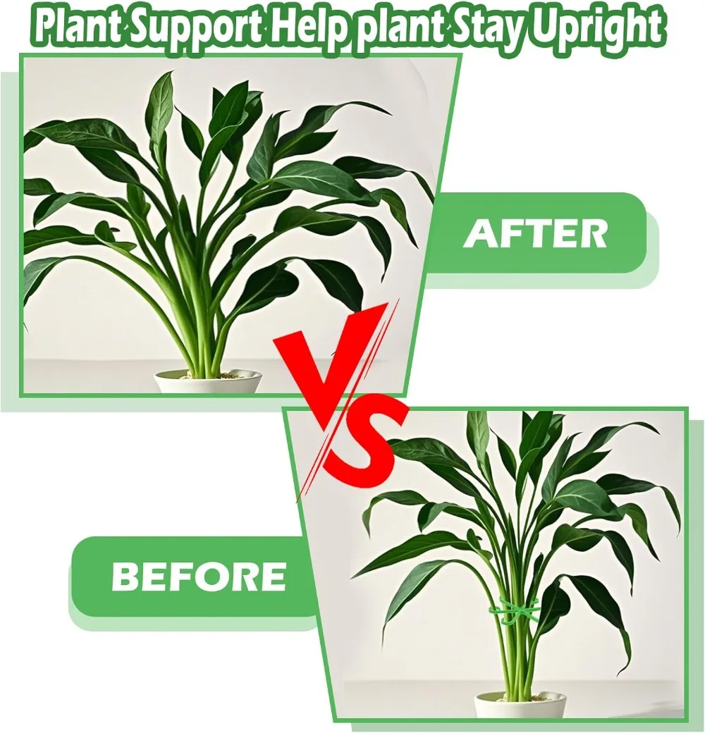 花植物茎サポートステーククライミング観葉植物スタンドフレーム - Florist Supply Bulk のレビューと価格