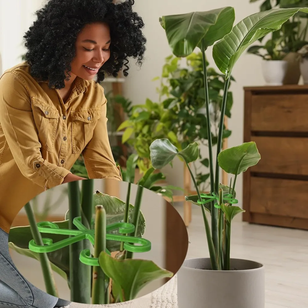 花植物茎サポートステーククライミング観葉植物スタンドフレーム - Florist Supply Bulk のレビューと価格