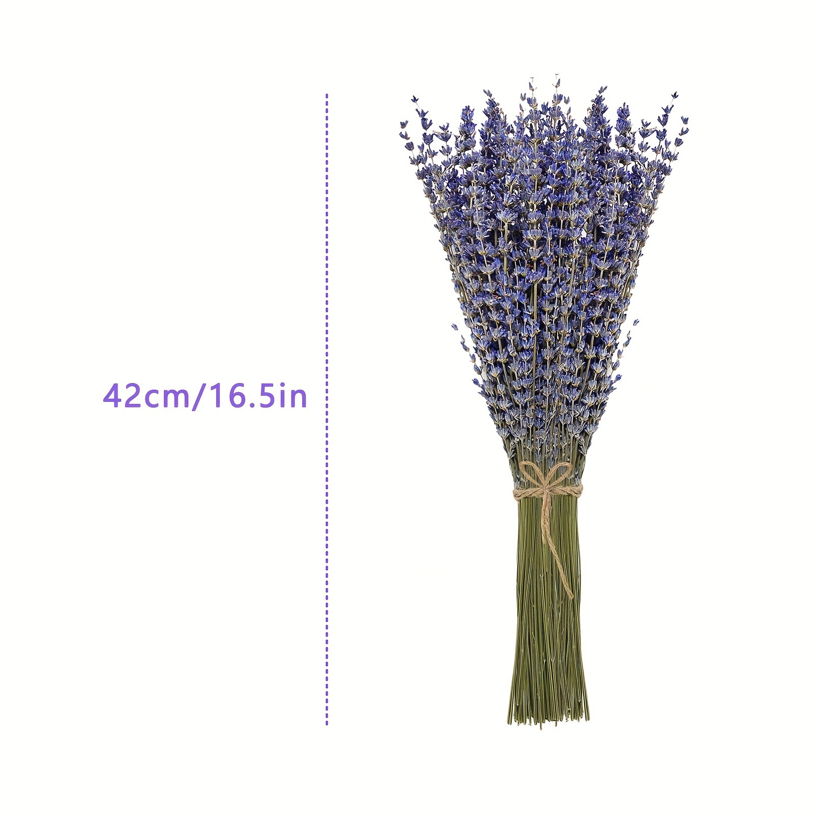 200個/束 ラベンダー ドライフラワー ホームリビングルー - Dried Flower Bunch のレビューと価格
