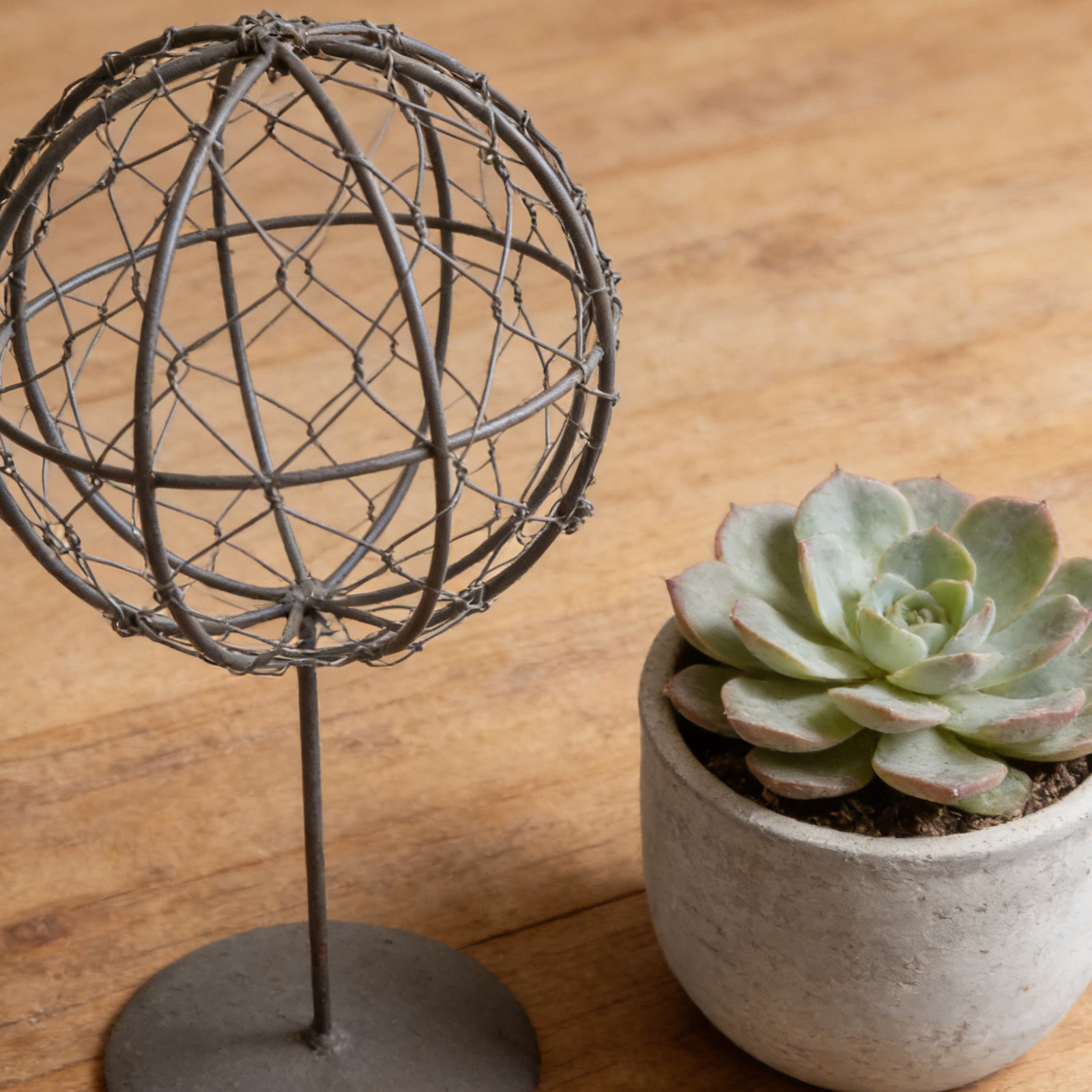 スタンド付き鉄製丸型ワイヤーボールトレリス、多肉植物プランタ - Wreath Form Wire のレビューと価格
