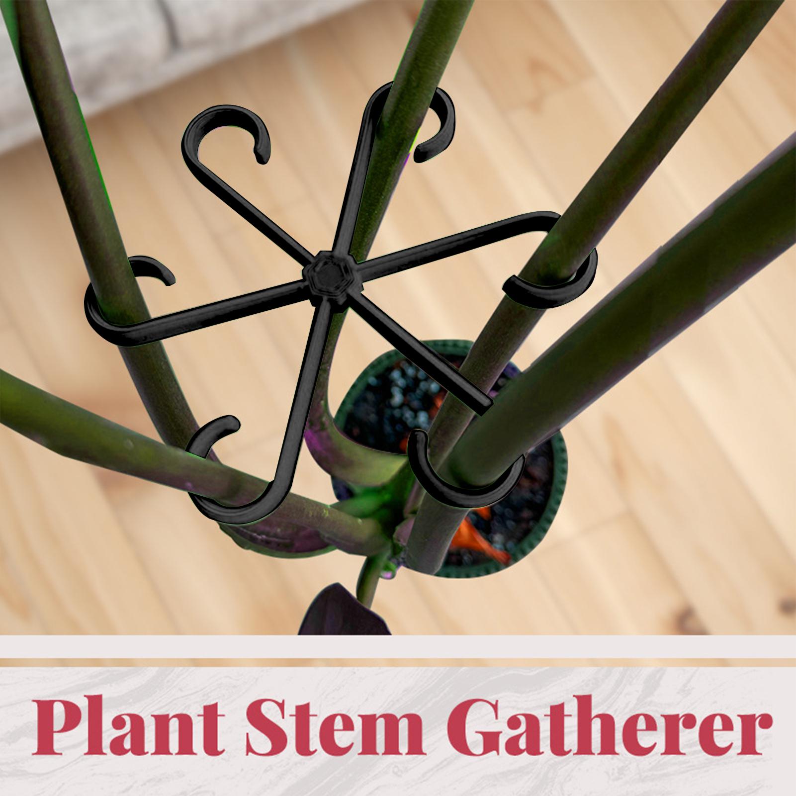 4個入り植物茎支持クリップ、花茎固定フレーム、植物の健康な成 - Florist Supply Bulk のレビューと価格