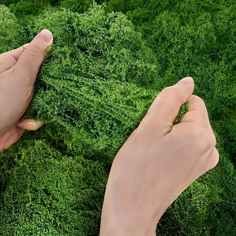 20フィート×20フィートの人工苔マット、屋内植物用グリーン - Preserved Moss Sheet のレビューと価格