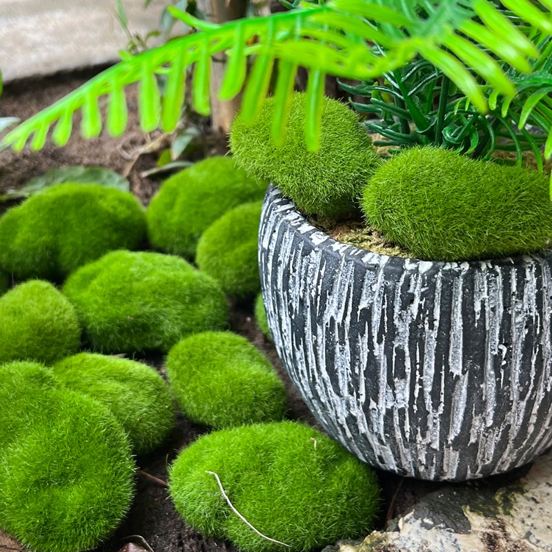 100/5 個人工苔石フェイクグリーン苔石植物 DIY 工芸 - Preserved Moss Sheet のレビューと価格