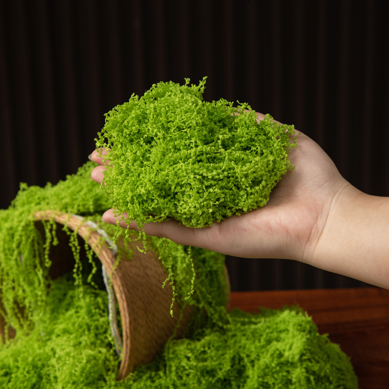 200 グラム永遠の命苔 DIY 工芸品草人工緑植物ホームル - Preserved Moss Sheet のレビューと価格