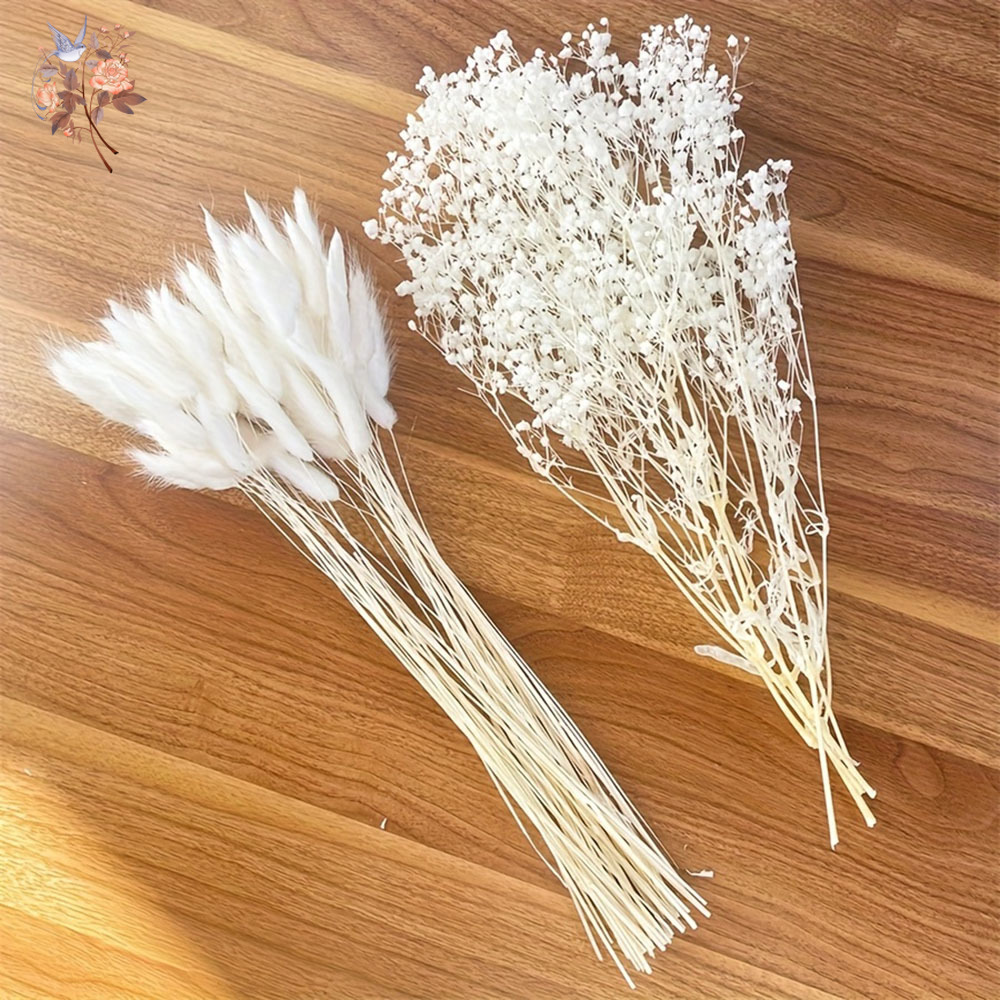 54 個ホワイトドライフラワーブライダルマリアージュブーケナ - Dried Flower Bunch のレビューと価格