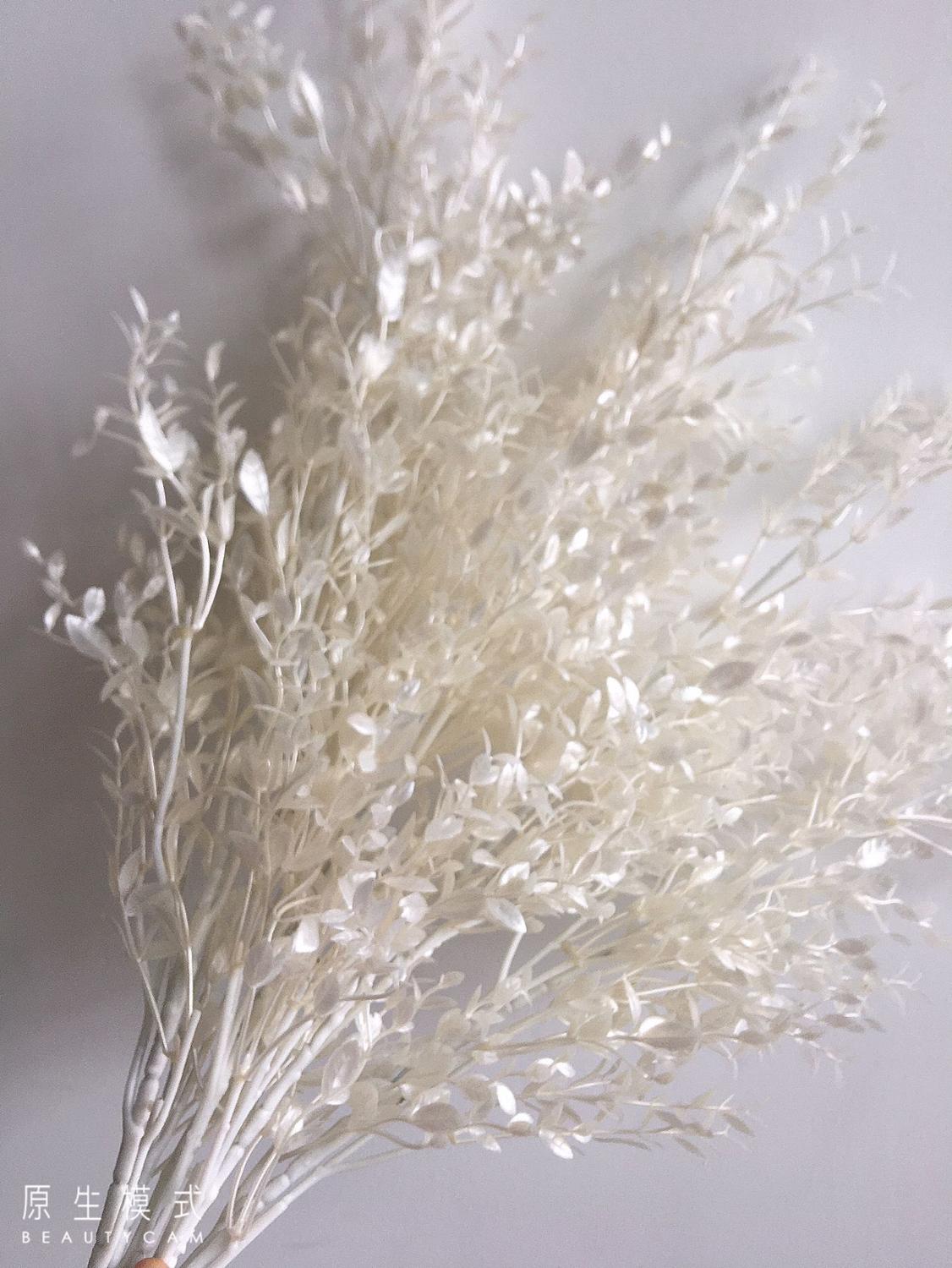ロングステムバンブーサミランリーフ フェイクリーフ 人工ホー - Dried Flower Bunch のレビューと価格