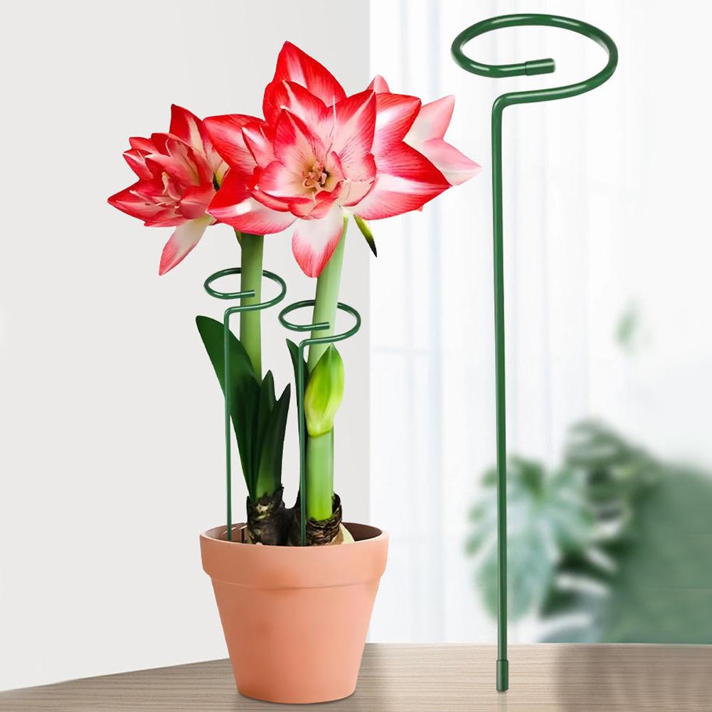 金属製植物支柱、庭の花茎用クライミングステーク、防錆、落下防 - Florist Supply Bulk のレビューと価格