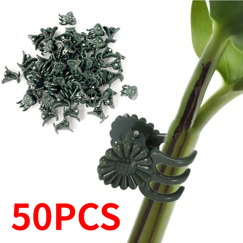 50個入り 5本爪 ダークグリーン 植物クリップ 蘭の花サポ - Florist Supply Bulk のレビューと価格