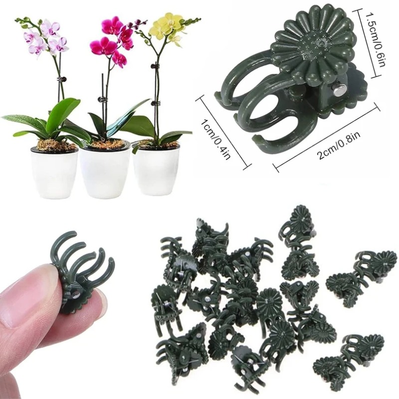 50個入り 5本爪 ダークグリーン 植物クリップ 蘭の花サポ - Florist Supply Bulk のレビューと価格