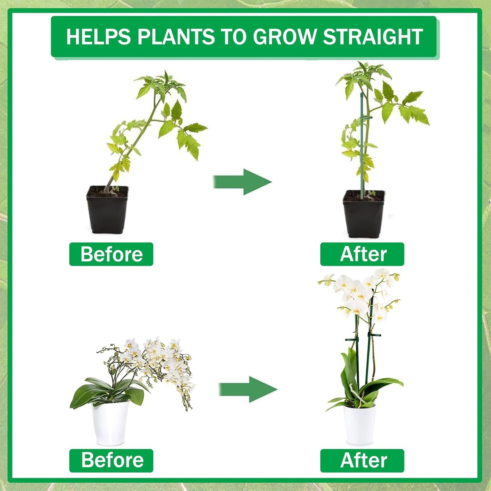 植物支柱棒 シングルステム シュラブホルダー ガーデンステー - Florist Supply Bulk のレビューと価格
