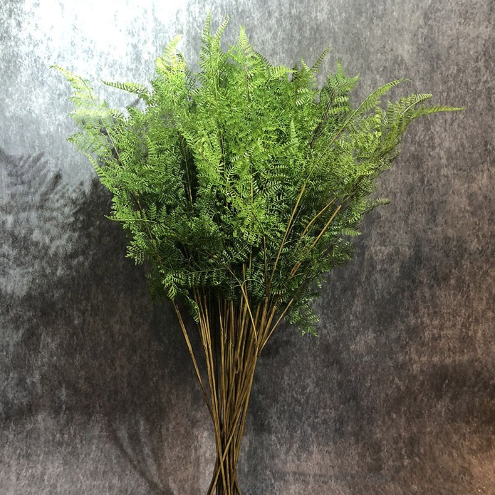 リアルな人工シダの枝、本物のような手触り、手作りの人工緑葉、 - Preserved Moss Sheet のレビューと価格