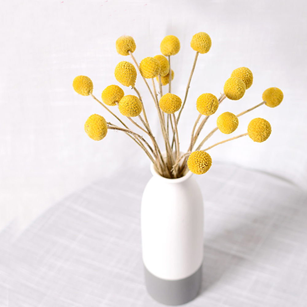 20 個の天然乾燥クラスペディアの花の花束ゴールデン ボール - Dried Flower Bunch のレビューと価格