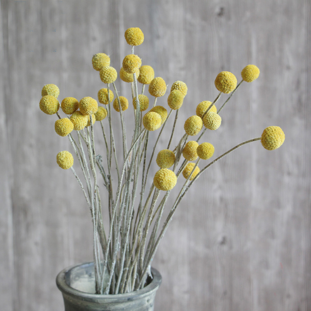 20 個の天然乾燥クラスペディアの花の花束ゴールデン ボール - Dried Flower Bunch のレビューと価格