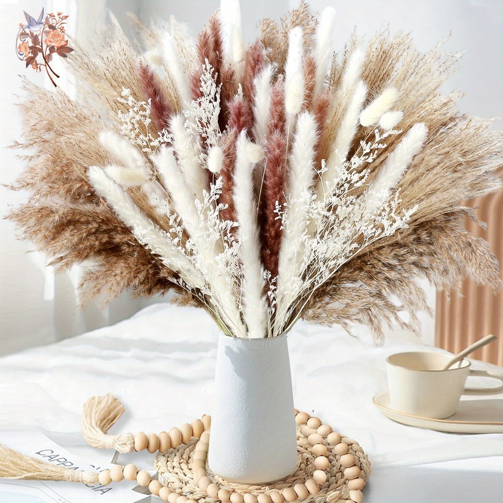 天然ドライフラワーパンパスグラスブーケ、バニーテールグラス、 - Dried Flower Bunch のレビューと価格