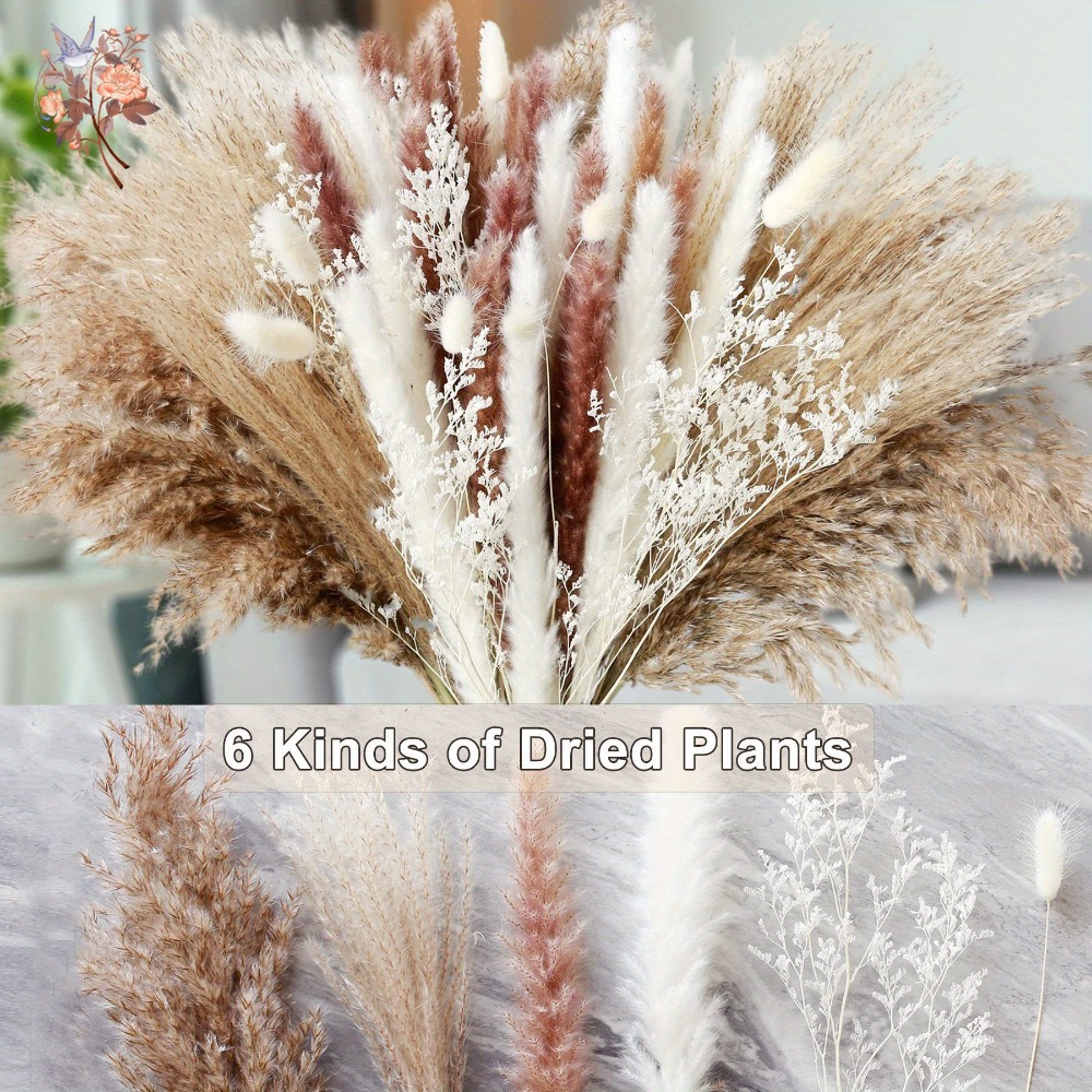 天然ドライフラワーパンパスグラスブーケ、バニーテールグラス、 - Dried Flower Bunch のレビューと価格