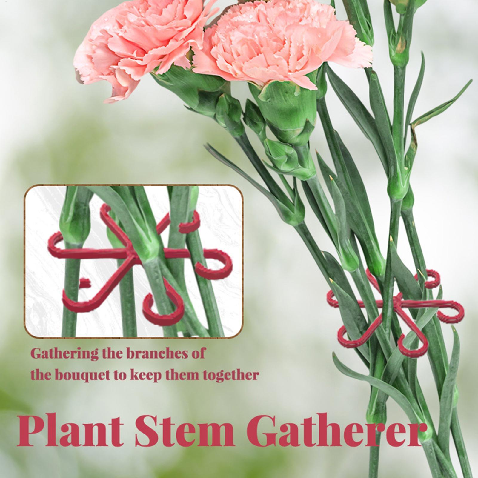 4個入り植物固定クリップ、植物のつる性サポートフレーム、花茎 - Florist Supply Bulk のレビューと価格
