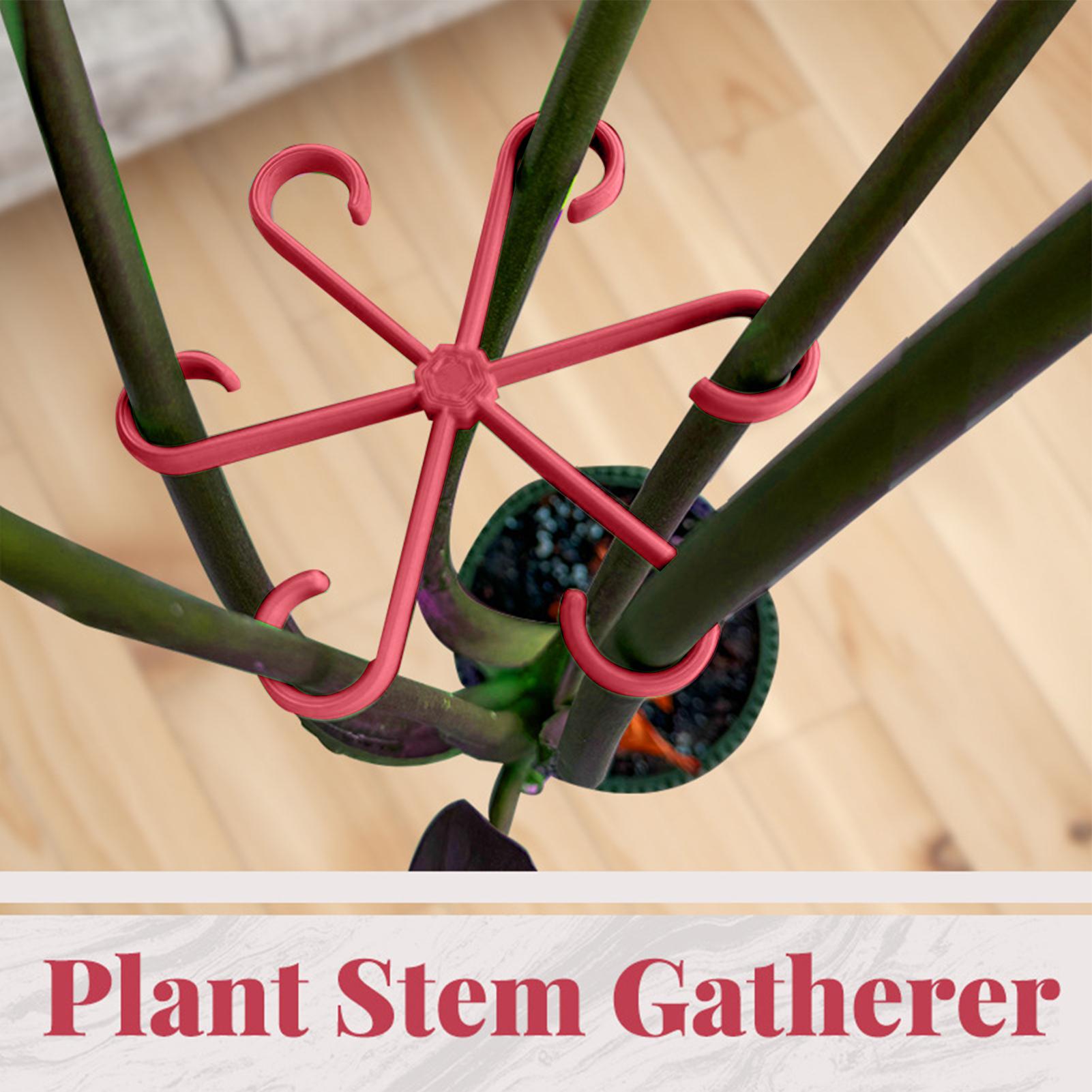 4個入り植物固定クリップ、植物のつる性サポートフレーム、花茎 - Florist Supply Bulk のレビューと価格