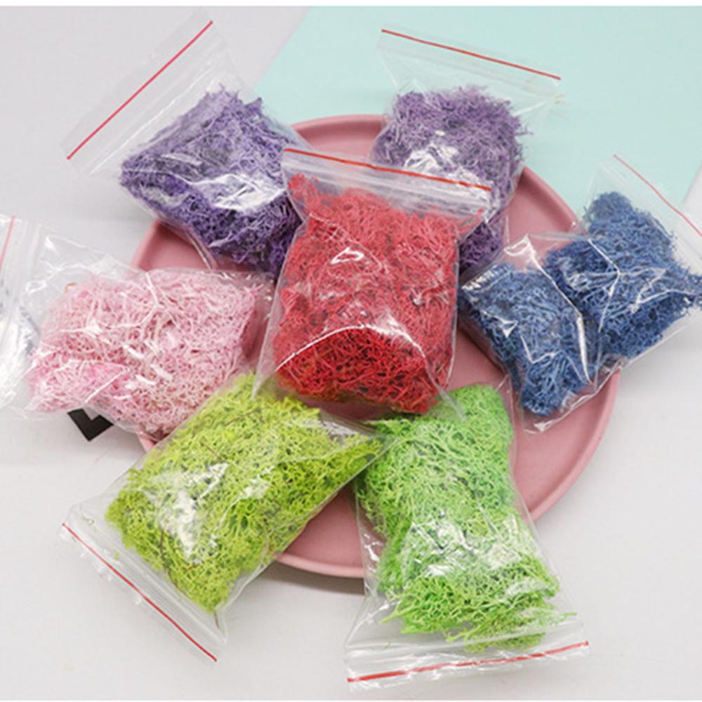 人工植物永遠の命モスガーデンクリスマス装飾壁 Diy フラワ - Preserved Moss Sheet のレビューと価格