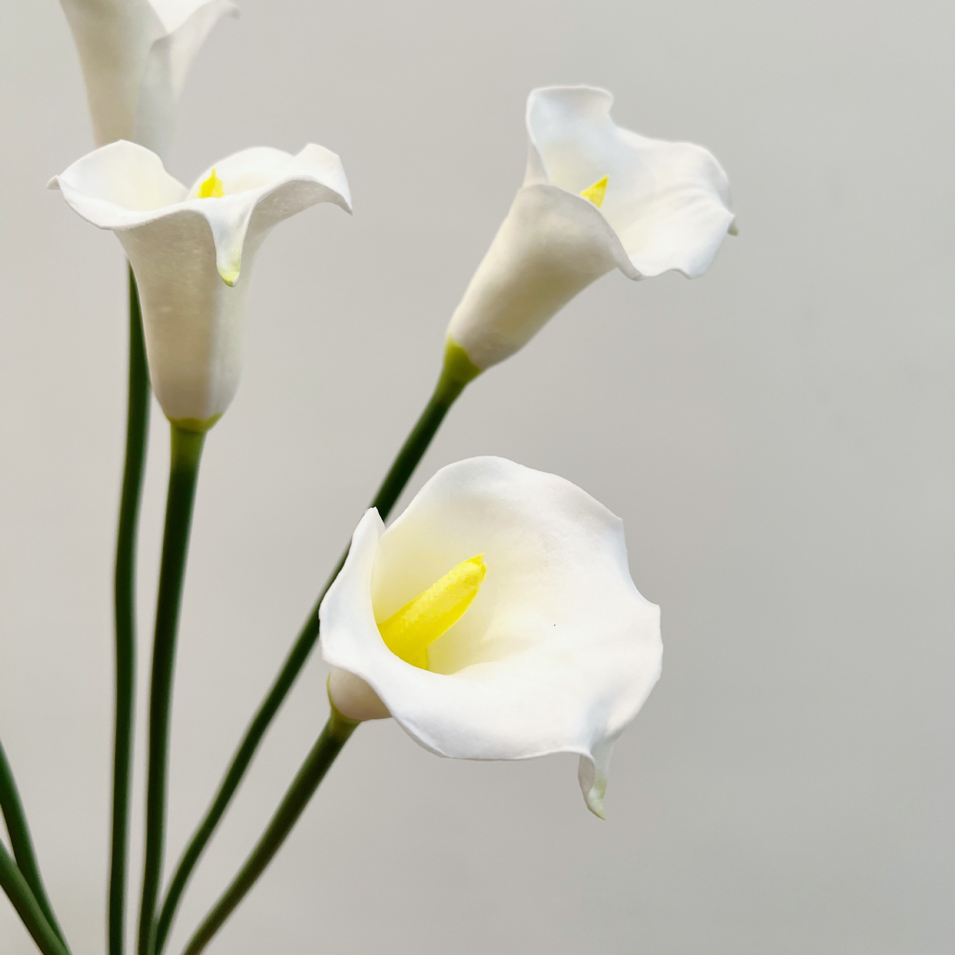 26インチ シングルステム クレセントカラーリリー 造花 ウ - Florist Supply Bulk のレビューと価格