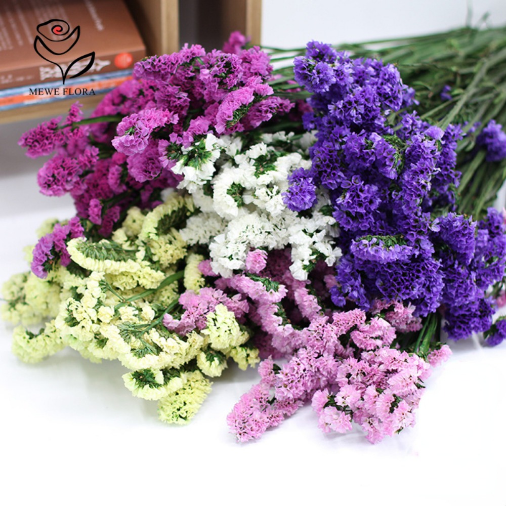花の香りのないドライ忘れられない、myostis imort - Dried Flower Bunch のレビューと価格