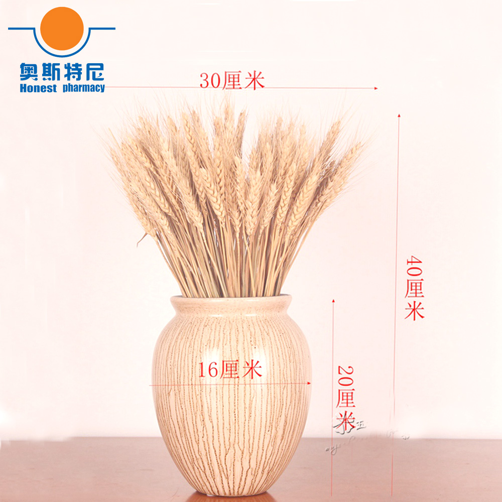50個入り 天然ドライフラワー 製菓用小麦穂 製菓用小麦穂束 - Dried Flower Bunch のレビューと価格