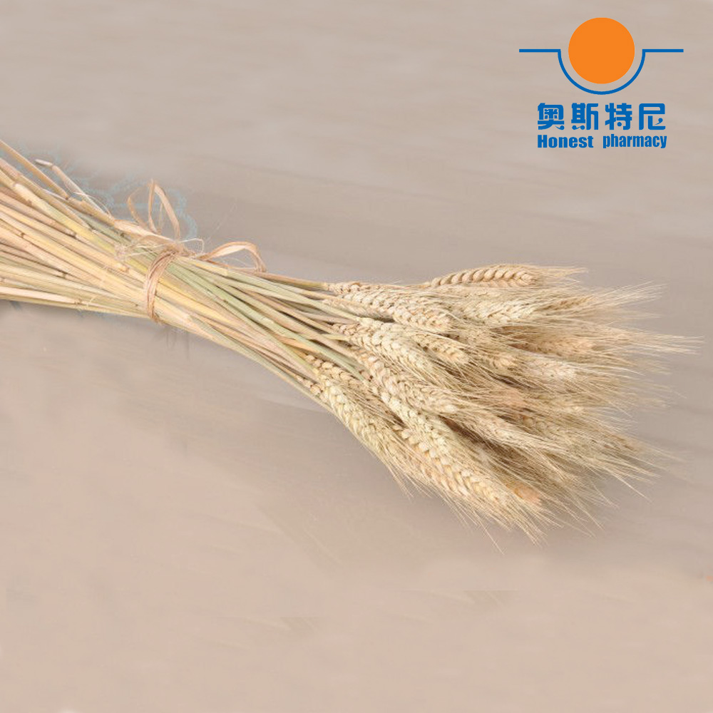 50個入り 天然ドライフラワー 製菓用小麦穂 製菓用小麦穂束 - Dried Flower Bunch のレビューと価格