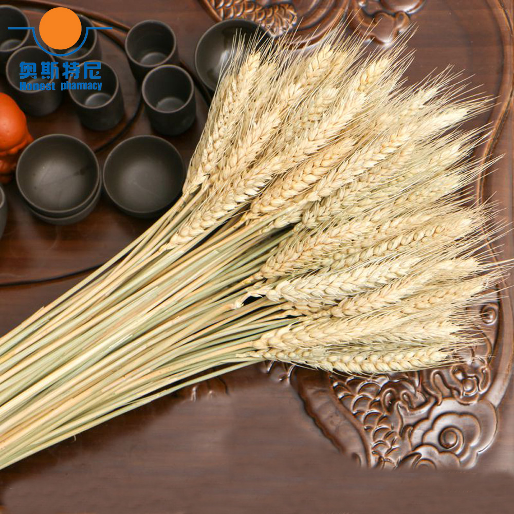 50個入り 天然ドライフラワー 製菓用小麦穂 製菓用小麦穂束 - Dried Flower Bunch のレビューと価格