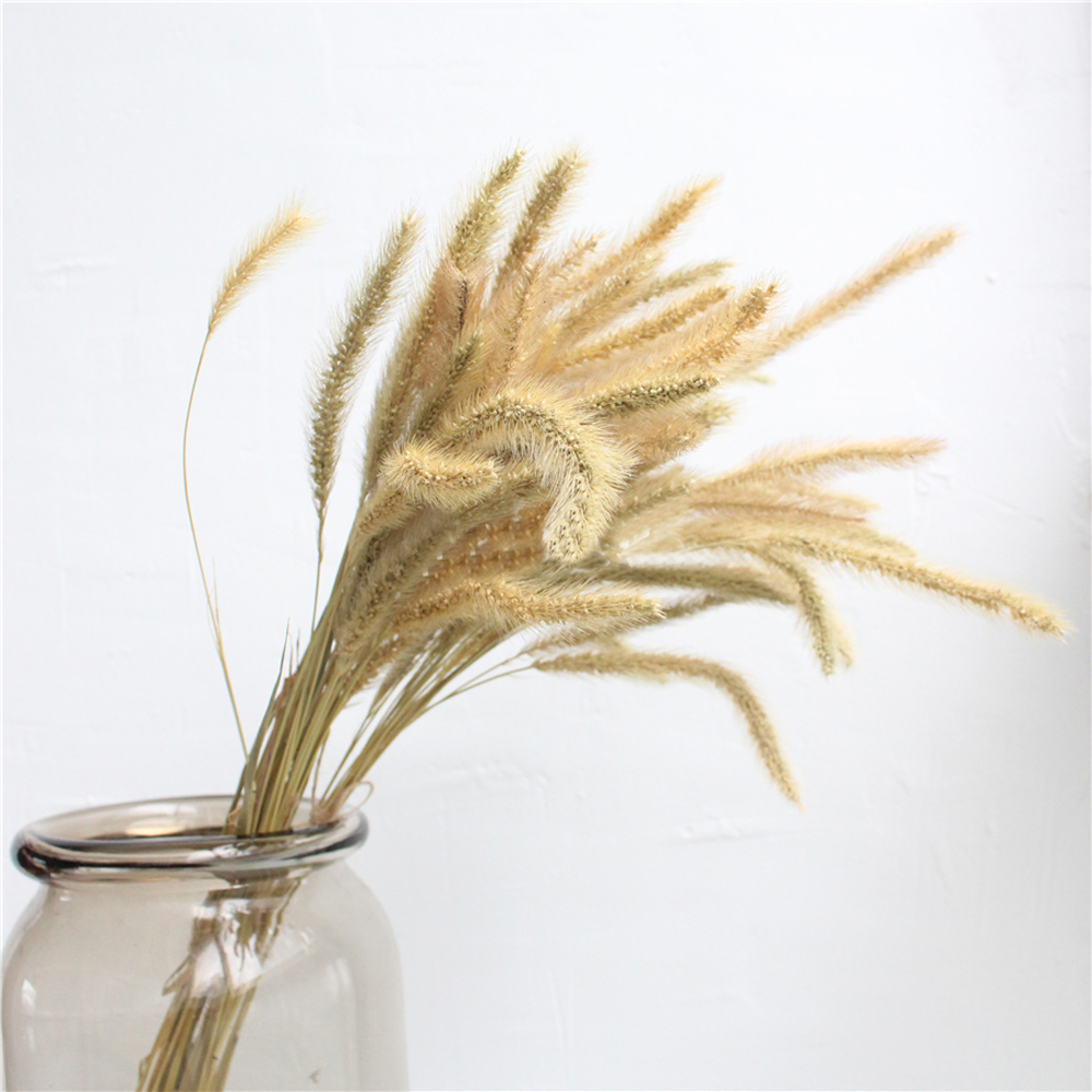 200 個の天然乾燥ラグゥラス オバタス ブーケ & ウラリ - Dried Flower Bunch のレビューと価格