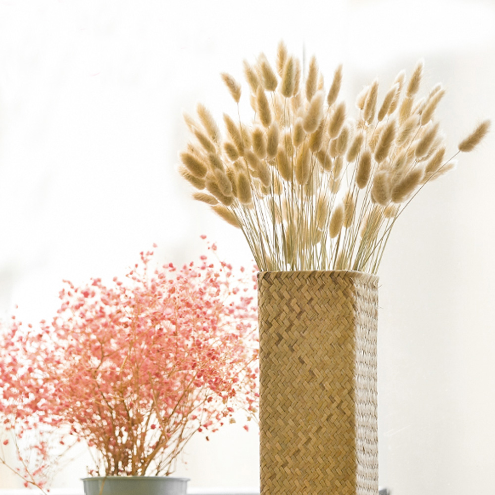 200 個の天然乾燥ラグゥラス オバタス ブーケ & ウラリ - Dried Flower Bunch のレビューと価格