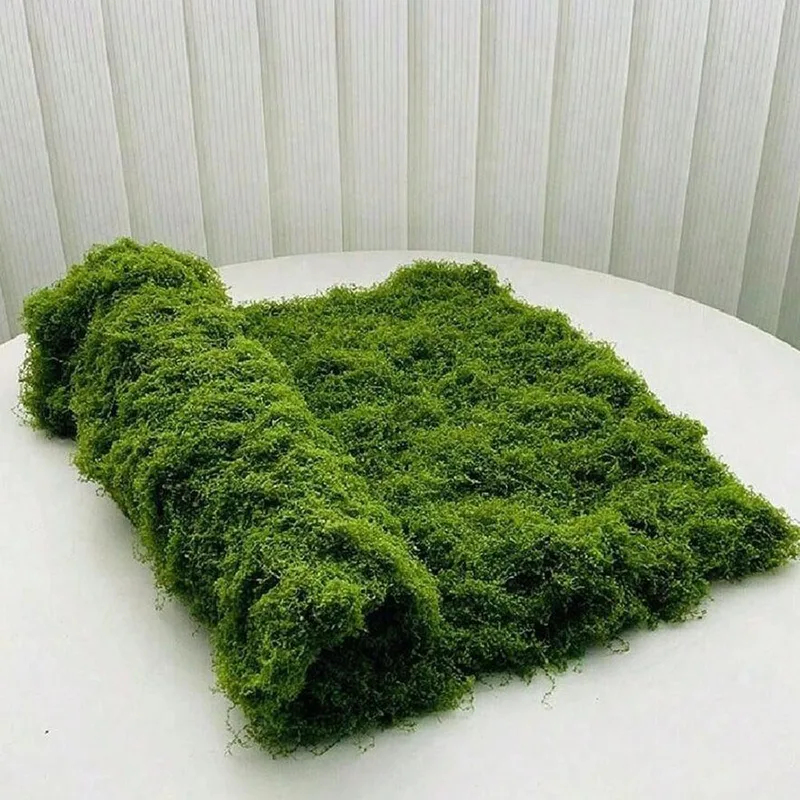 人工苔、マイクロランドスケープ装飾用、芝生用苔、盆栽、鉢植え - Preserved Moss Sheet のレビューと価格