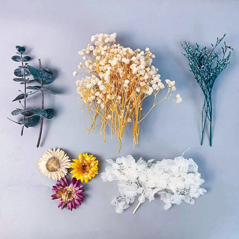 1パック多種多様なドライフラワーセットDIYクラフトホームウ - Dried Flower Bunch のレビューと価格