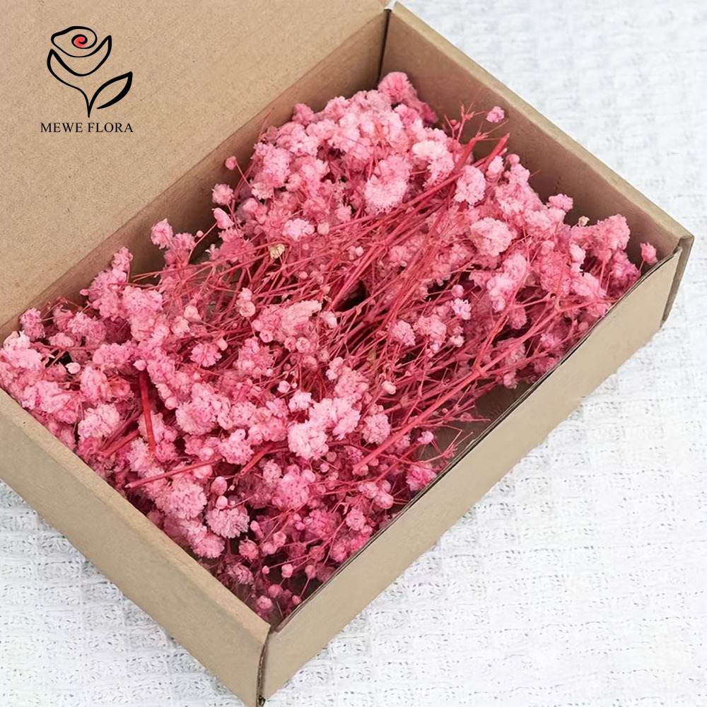 カード作りDIYクラフトミニカスミソウブーケホームウェディン - Baby Breath Dried のレビューと価格